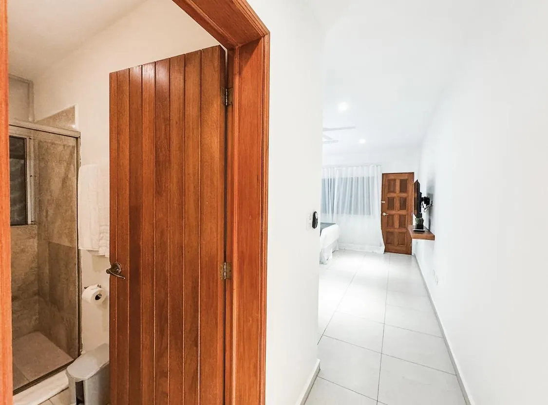 Magic Penthouse In Mamitas Beach 普拉亚卡门